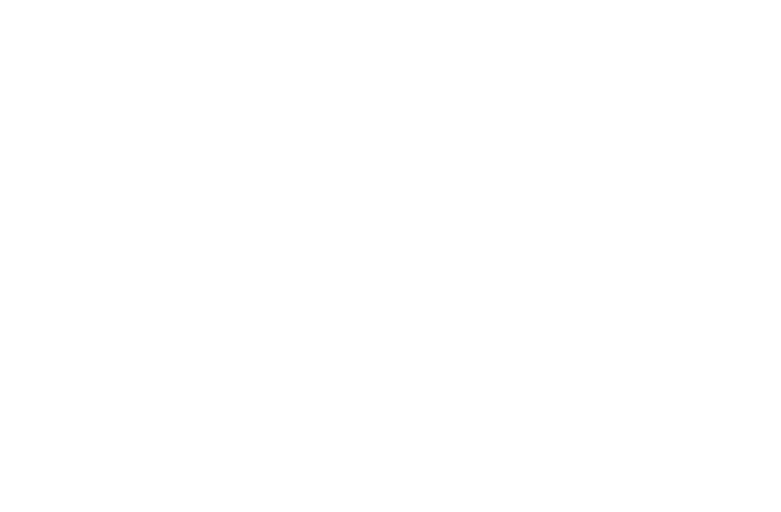 Microsoft Partner badge